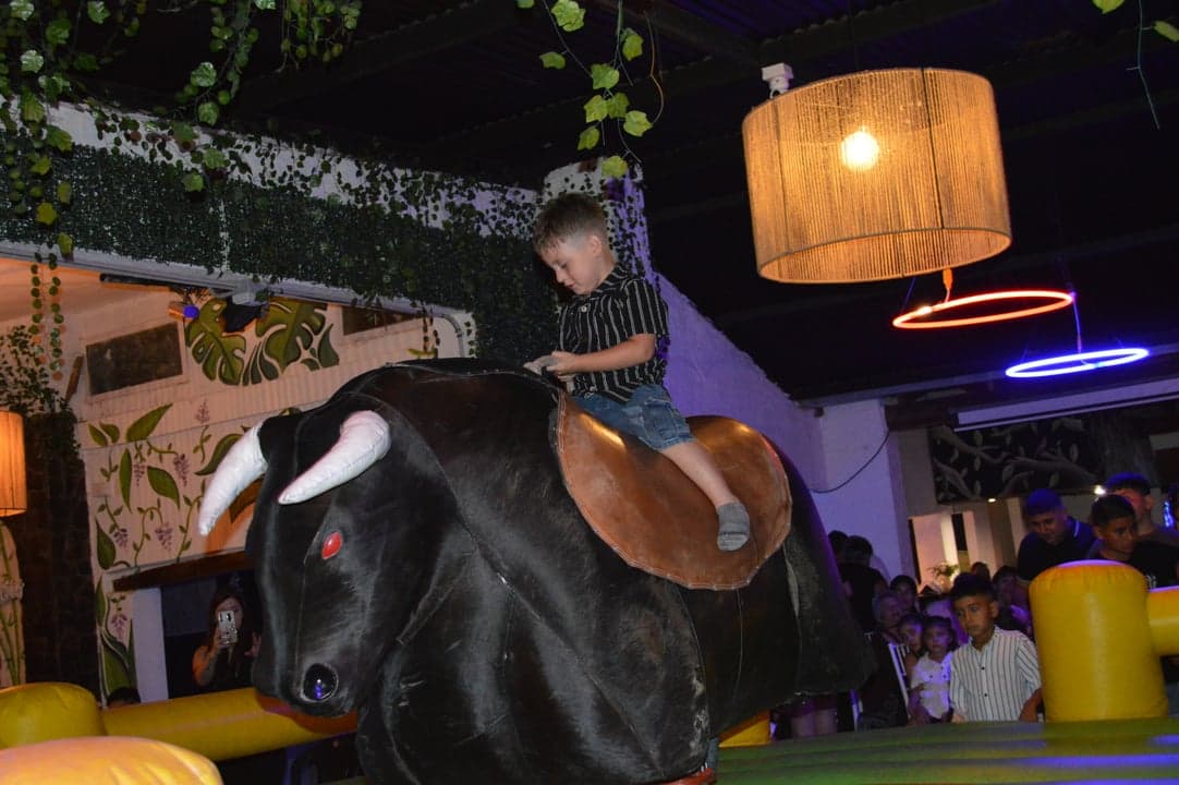 Toro Mecánico